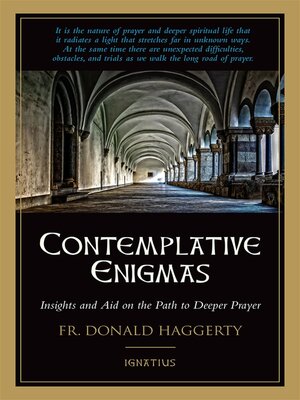 cover image of Contemplative Enigmas